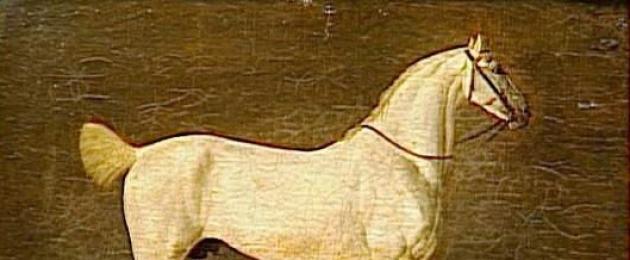 Лошадь наполеона. Маренго и Визирь: Любимые жеребцы Наполеона Бонапарта. Нелегко быть конем Бонапарта…